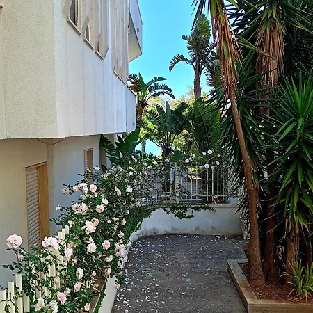 Bomera 3*